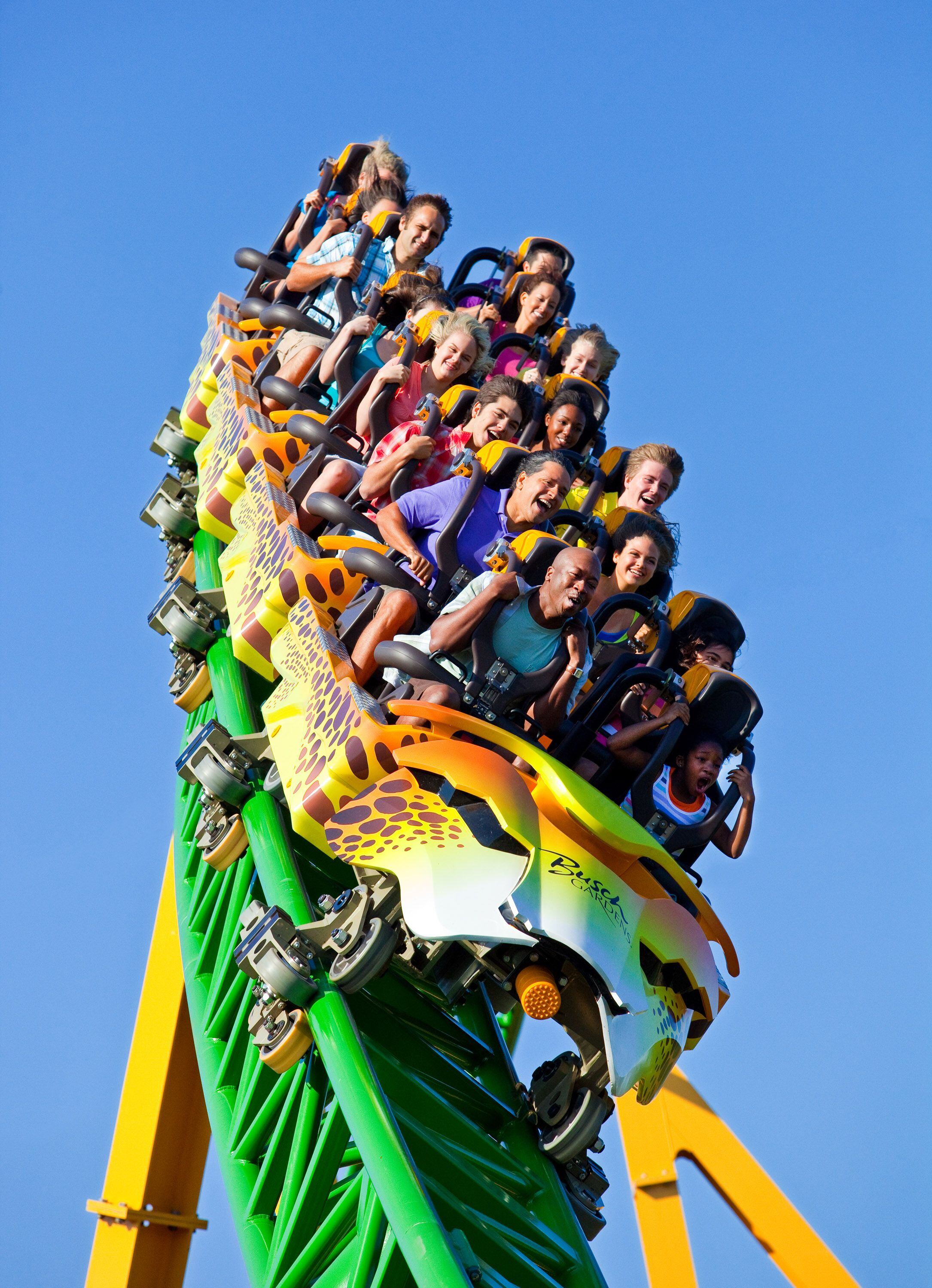 Busch Gardens' new record-breaking swing ride, Serengeti Flyer