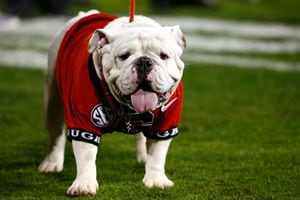 Uga X, winningest mascot in Georgia history, dies – WSB-TV Channel 