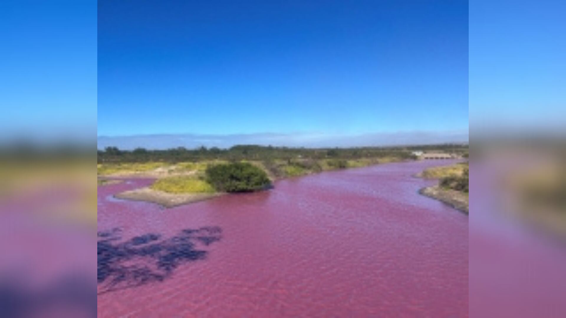 Maui's pink pond may have a different cause, researchers say