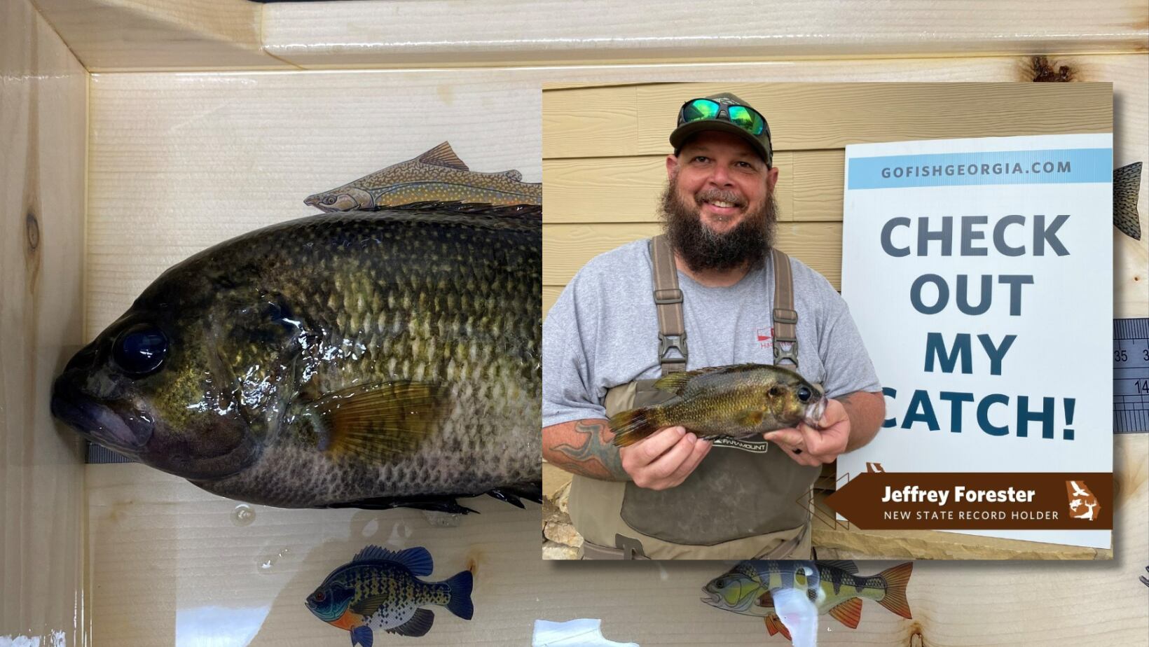 North Georgia fisherman man reels in new state record rock bass, officials  say – WSB-TV Channel 2 - Atlanta