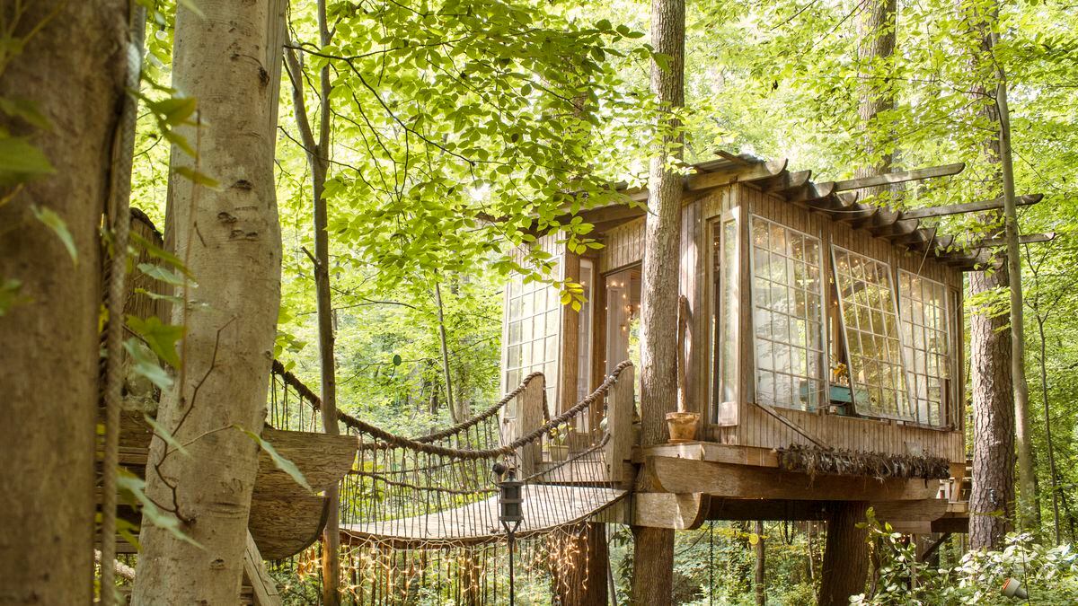 Atlanta Treehouse Tops Most Wish-listed Airbnb In Georgia