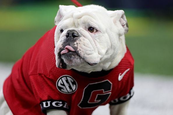 Georgia Bulldogs and Atlanta Braves mascot National Championship